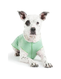 Camisa Solar para Perros Goldpaw UV Verde Pistacho T26