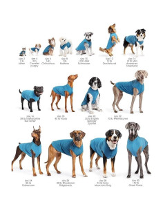 Camisa Solar para Perros Goldpaw UV Verde Pistacho T26 2