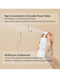 Mist Antioxidante OxygenCeuticals ReGenon 100ml - Hidratante y Aclarador 2