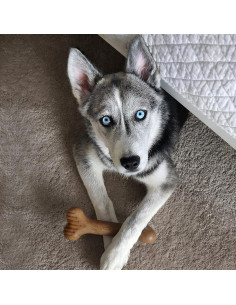 Juguete Masticable Lumabone Bulkster Pequeño Carne de Res 2