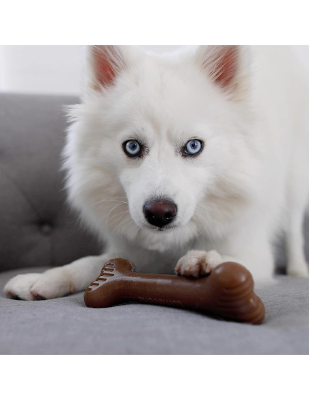 Juguete Masticable Lumabone Bulkster Pequeño Carne de Res