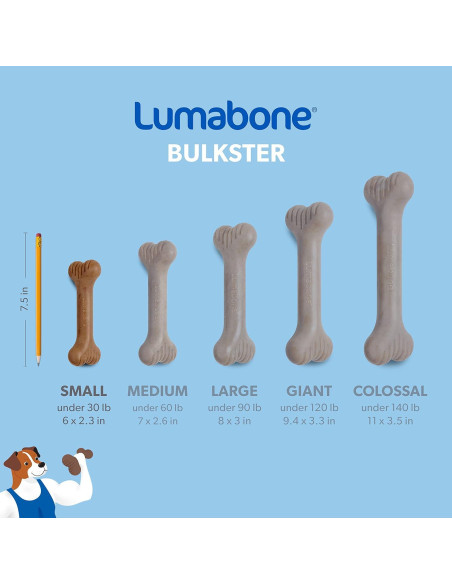 Juguete Masticable Lumabone Bulkster Pequeño Carne de Res