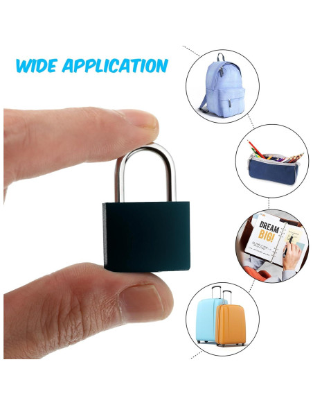 10 Candados de Equipaje Ripeng con Llaves - Compactos y Negros