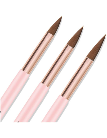 Juego de Pinceles para Uñas Acrílicas ZEOHBETY 3 Pcs Rosa