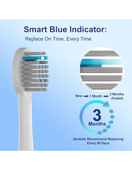 Paquete de 6 Cabezas de Cepillo Waterpik Sonic-Fusion SF-01/SF-04