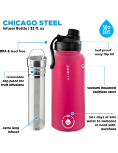 Botella Infusora de Té GROSCHE Chicago 946 ml Acero Inoxidable 2