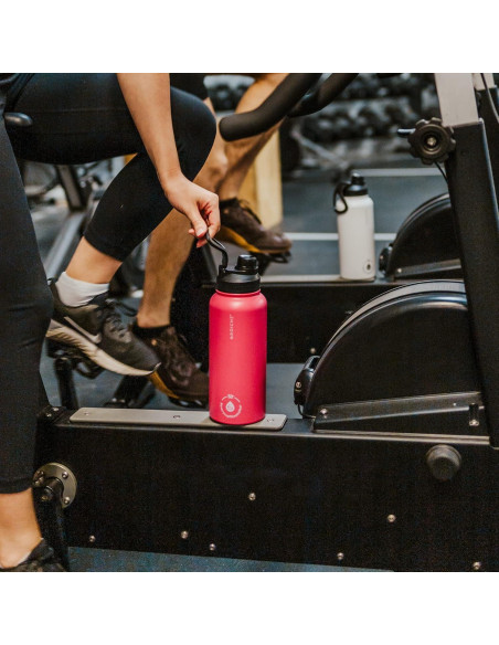 Botella Infusora de Té GROSCHE Chicago 946 ml Acero Inoxidable