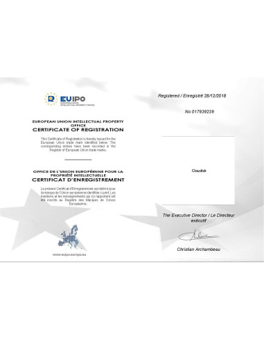 Paquete de 5 Tarjetas Micro SD 2GB Cloudisk C6 con Adaptador