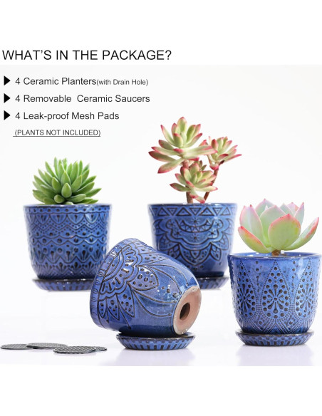 Macetas Suculentas Gepege - Juego de 4 Cerámicas 10 cm Azul