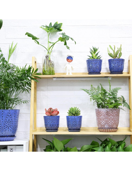 Macetas Suculentas Gepege - Juego de 4 Cerámicas 10 cm Azul
