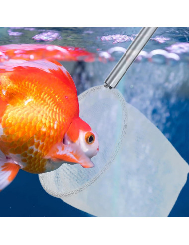 Red de Acuario Xelsluthe 2 Pcs con Mango Telescópico 5cm