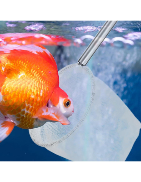 Red de Acuario Xelsluthe 2 Pcs con Mango Telescópico 5cm