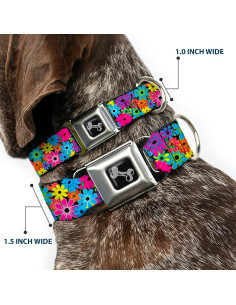 Collar de Perro Buckle-Down Mediano 2.54 cm Ancho Ajustable 2