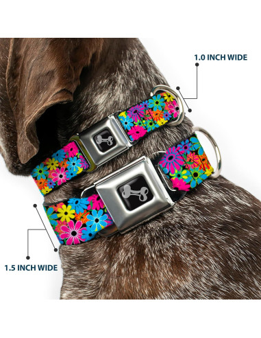 Collar de Perro Buckle-Down Mediano 2.54 cm Ancho Ajustable