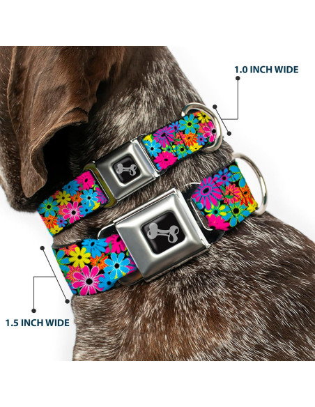 Collar de Perro Buckle-Down Mediano 2.54 cm Ancho Ajustable