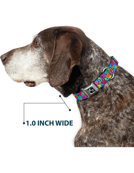 Collar de Perro Buckle-Down Mediano 2.54 cm Ancho Ajustable