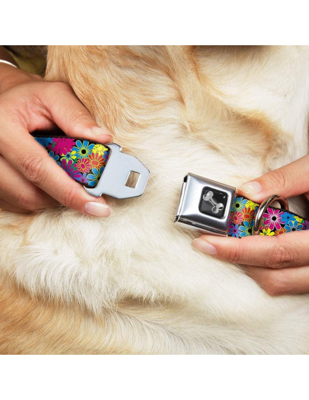 Collar de Perro Buckle-Down Mediano 2.54 cm Ancho Ajustable