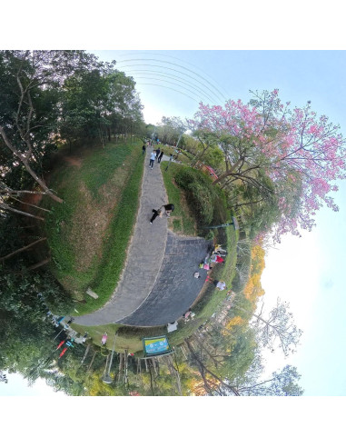 Palo de Selfie PellKing 3m Fibra de Carbono + Trípode 29cm Aluminio