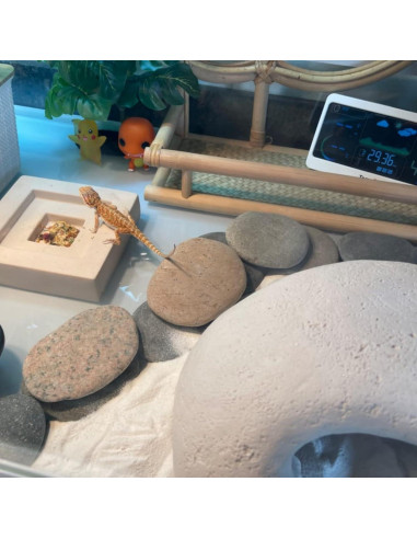 10 Rocas Planas Grandes para Pintar 10-13cm CYLHCM