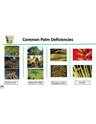 Fertilizante para Palmeras Power Strike 1.81 kg con Hierro