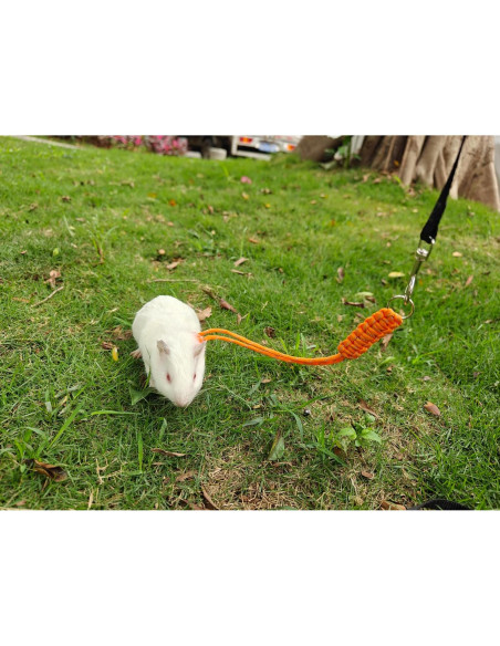 Arnés y Correa Ajustable para Conejos y Animales Pequeños - Paquete de 2