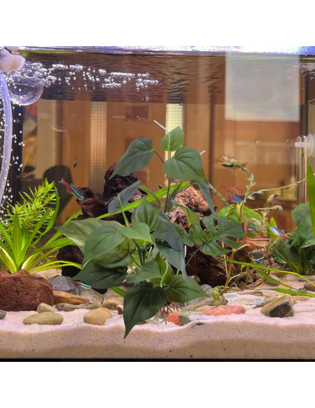 Planta Artificial para Acuarios M2cbridge 30.48cm Verde