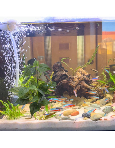 Planta Artificial para Acuarios M2cbridge 30.48cm Verde