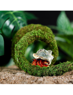 Juguete de Escalada para Cangrejo Ermitaño USMOLA 50cm Verde 2