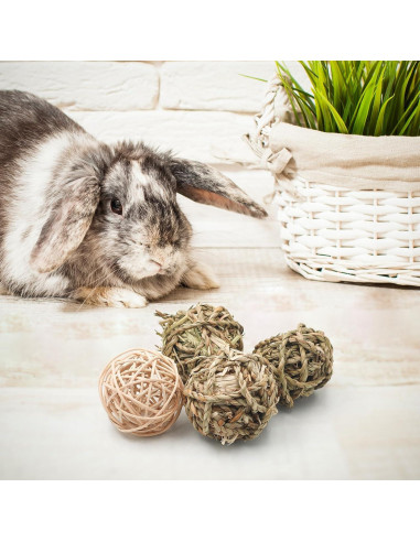 Bolas de Hierba para Masticar Bac-kitchen 6.1 cm - 17 Pcs