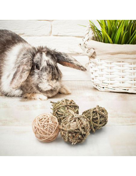 Bolas de Hierba para Masticar Bac-kitchen 6.1 cm - 17 Pcs