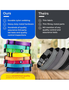 Collar para Perros Grandes Blueberry Pet Verde Ajustable 45.72-66.04 cm 2