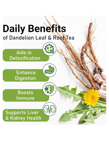 Té Herbal Detox TZTZBOM Diente de León 50 Bolsas 100g