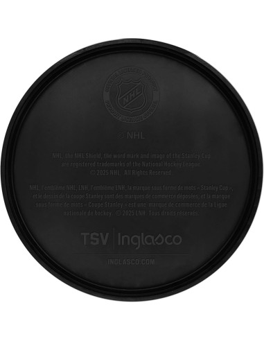 Réplica Copa Stanley 2025 Inglasco 20 cm Florida Panthers