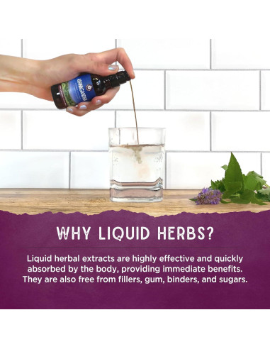 Suplemento Herbal Inmunológico Serious V-Fighter 30 mL