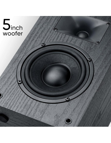 Altavoces Pasivos Saiyin DS6900M 80W 4 Ohmios Estéreo