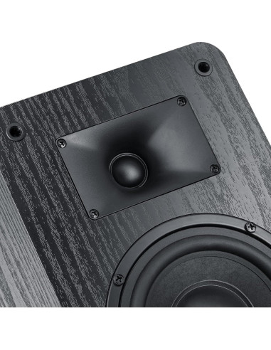 Altavoces Pasivos Saiyin DS6900M 80W 4 Ohmios Estéreo