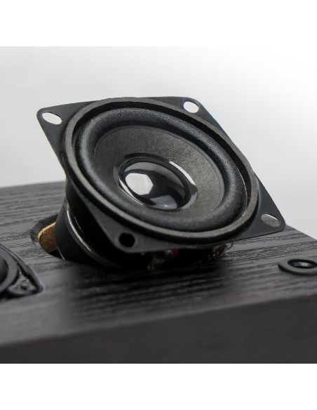 Altavoces de Estantería Pasivos RIOWOIS DS6500M 30W Madera