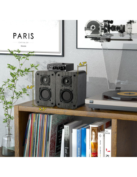 Altavoces de Estantería Pasivos RIOWOIS DS6500M 30W Madera