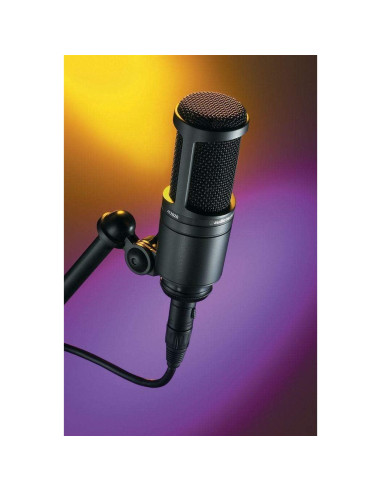 Micrófono de Estudio Audio-Technica AT2020 + Auriculares Rockville PRO-M50