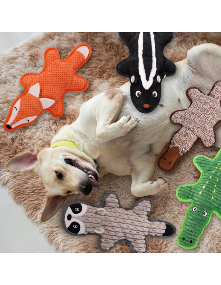 Paquete de 5 Juguetes para Perros Eneston Sin Relleno Multicolor