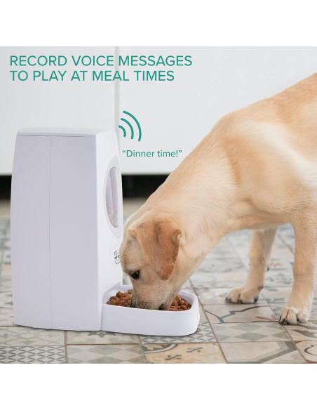 Dispensador Automático de Comida Arf Pets 6L para Mascotas