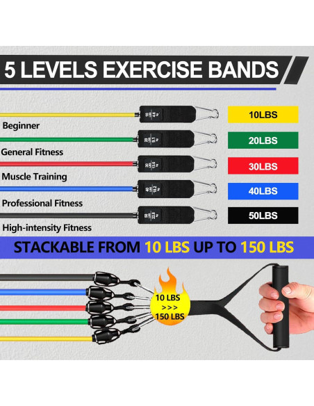 Conjunto de Bandas de Resistencia BSJ BESTGYM 150 LBS