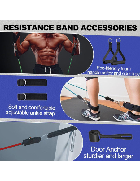 Conjunto de Bandas de Resistencia BSJ BESTGYM 150 LBS
