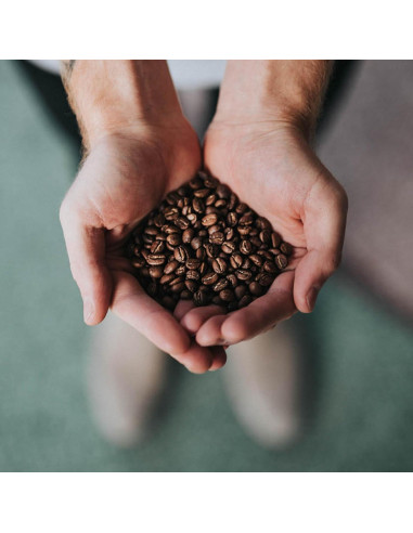 Café en Grano Descafeinado CO2 Granos de Café Directo 453g