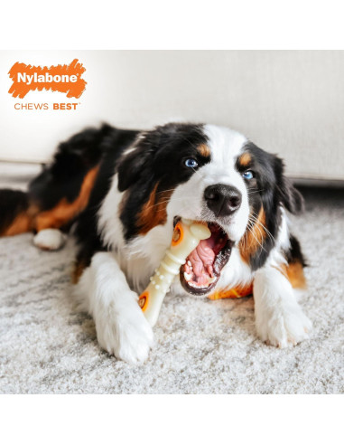 Golosinas para Perros Nylabone Pop-In Sabor Pollo 147g