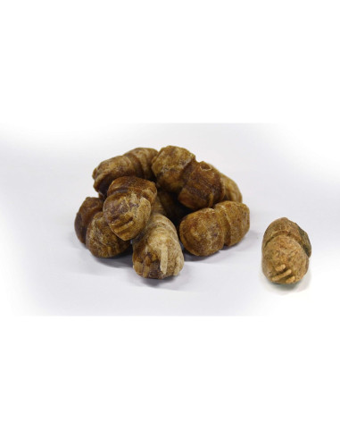 Golosinas para Perros Nylabone Pop-In Sabor Pollo 147g