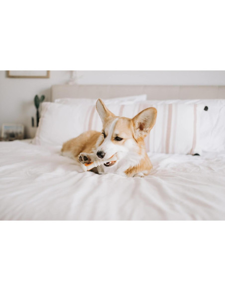 Golosinas para Perros Nylabone Pop-In Sabor Pollo 147g