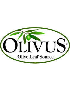 Té de Hoja de Olivo Orgánico 450g - Sin Cafeína - Olivus 2