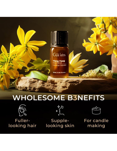 Set de Aceites Esenciales Roll On Gya Labs 2x10ml Tomillo Ylang Ylang