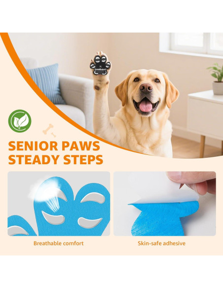 Almohadillas Antideslizantes para Patas de Perros Loobani XXL